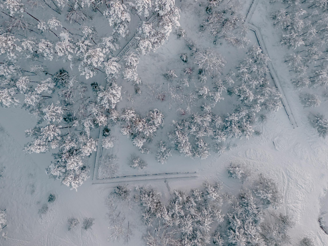 SUCCESS: European Space Agency-Funded Project to Help Combat Illegal Construction in Latvia